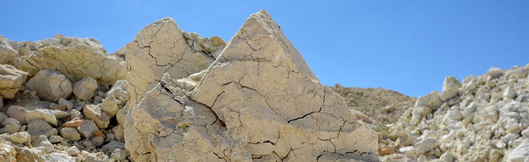 Minerales de Avino - Líderes