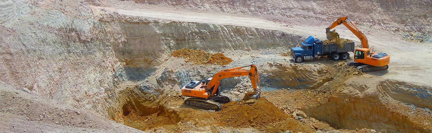 Minerales de Avino - Cuidado Animal