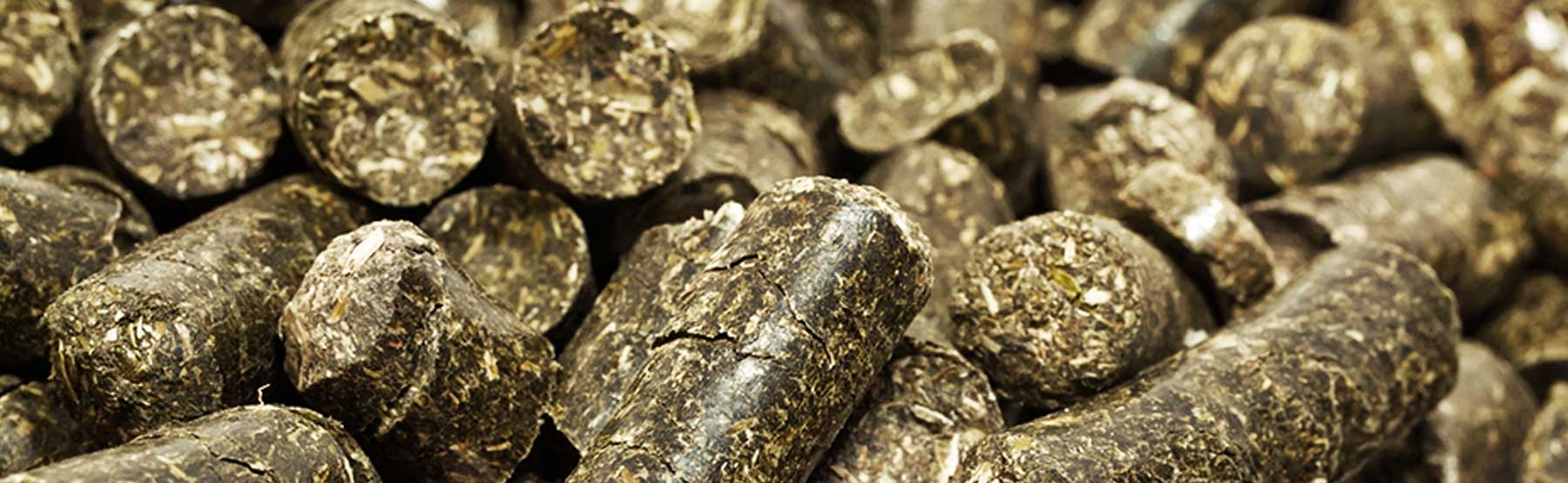 Minerales de Avino - Cuidado Animal