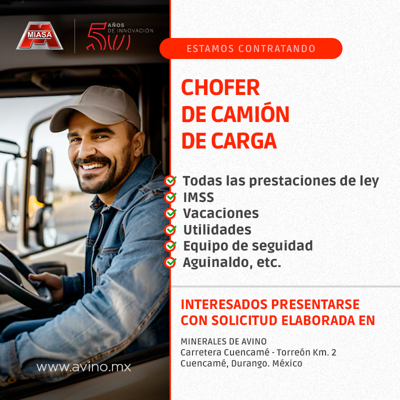 Chofer de camión de carga